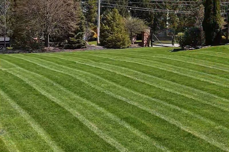 Weekly Lawncare