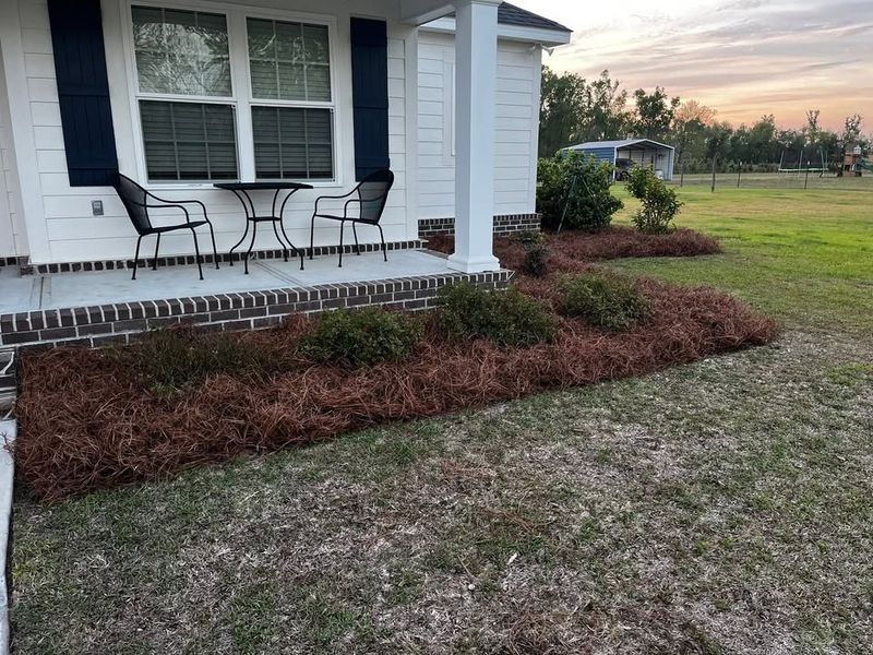 Tree & Shrub Care