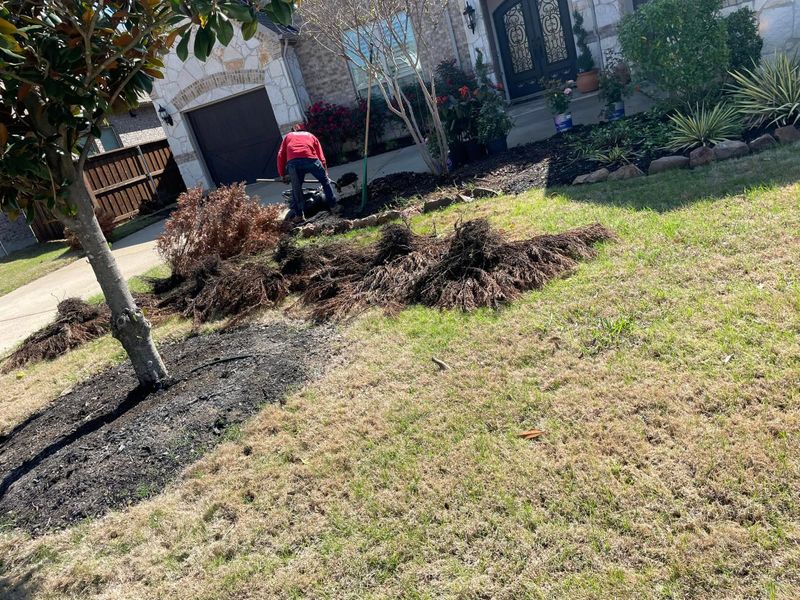 Fall and Spring Clean Up