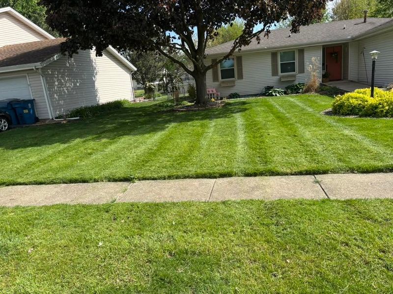 Lawn Mowing and Maintenance
