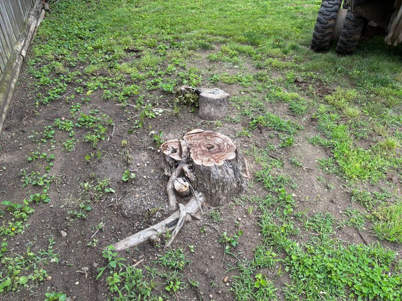 Stump Removal