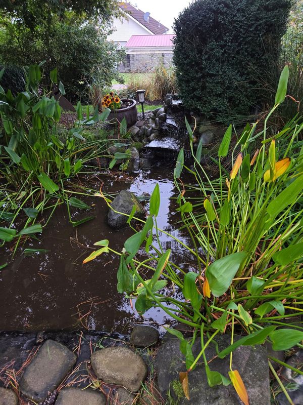 Landscape Design & Installation