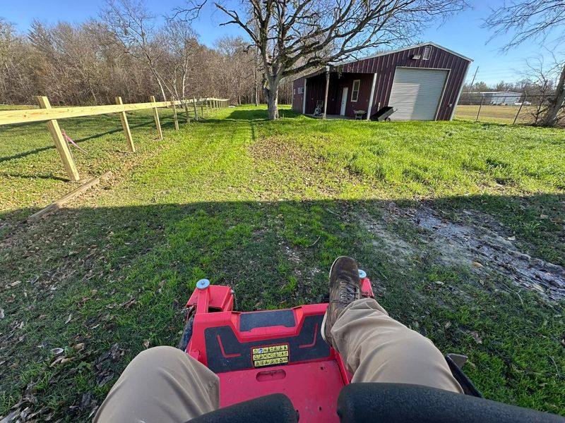 Lawn Maintenance