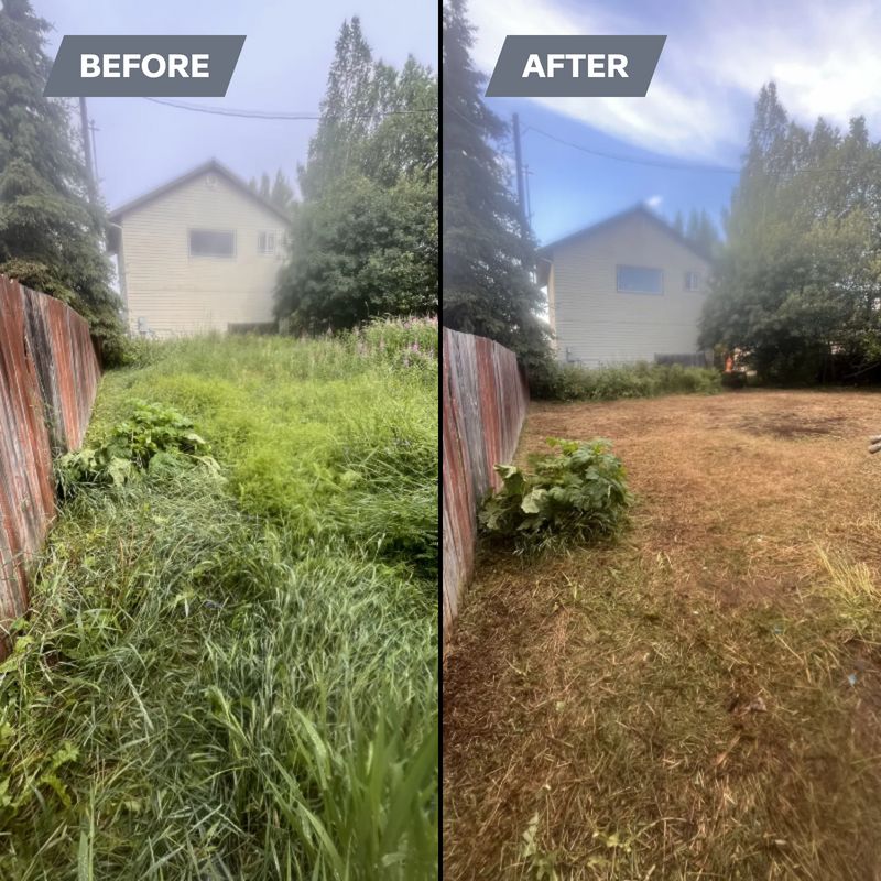 Before & Afters