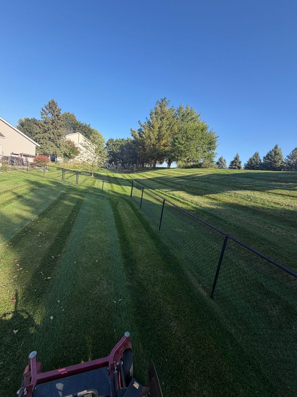 Lawn Maintenance