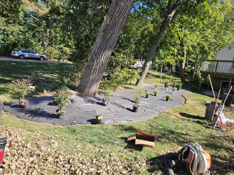 Plant & Shrub Installations