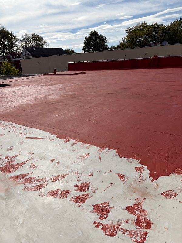 Silicon roof coating