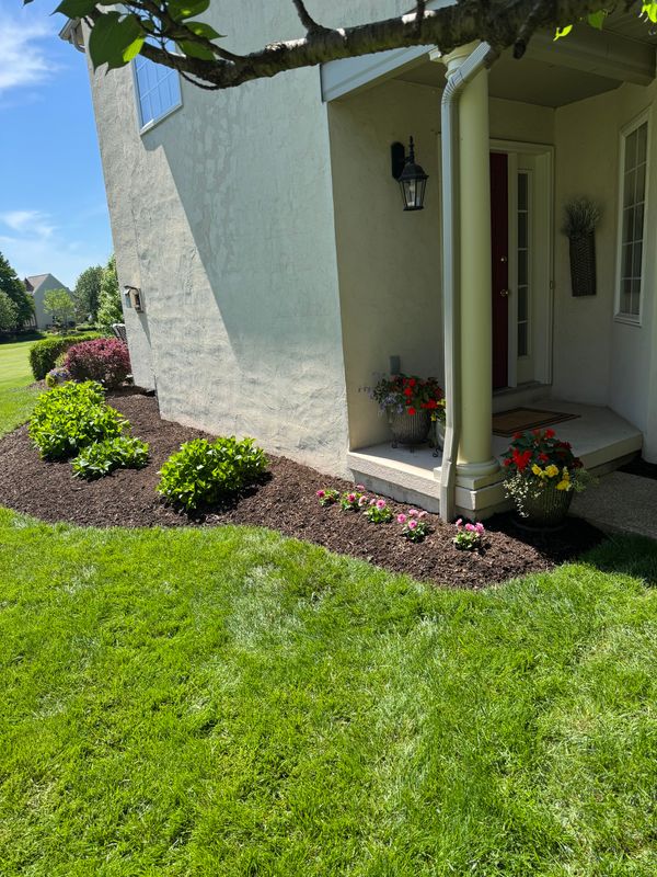 Landscape Designs