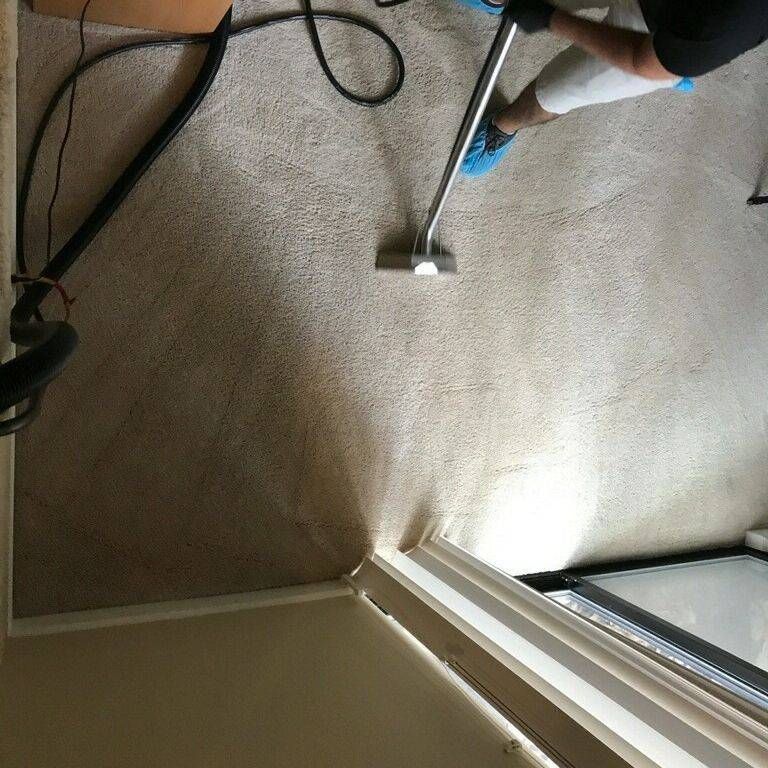 Carpet Cleaning gallery
