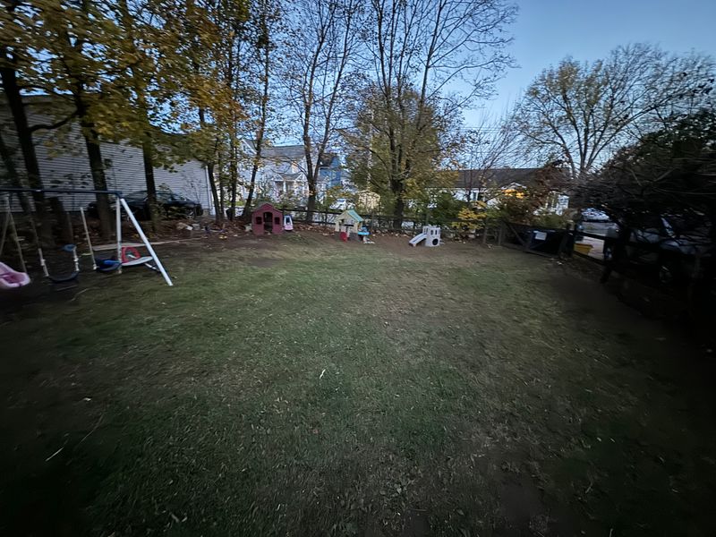 Fall Cleanup