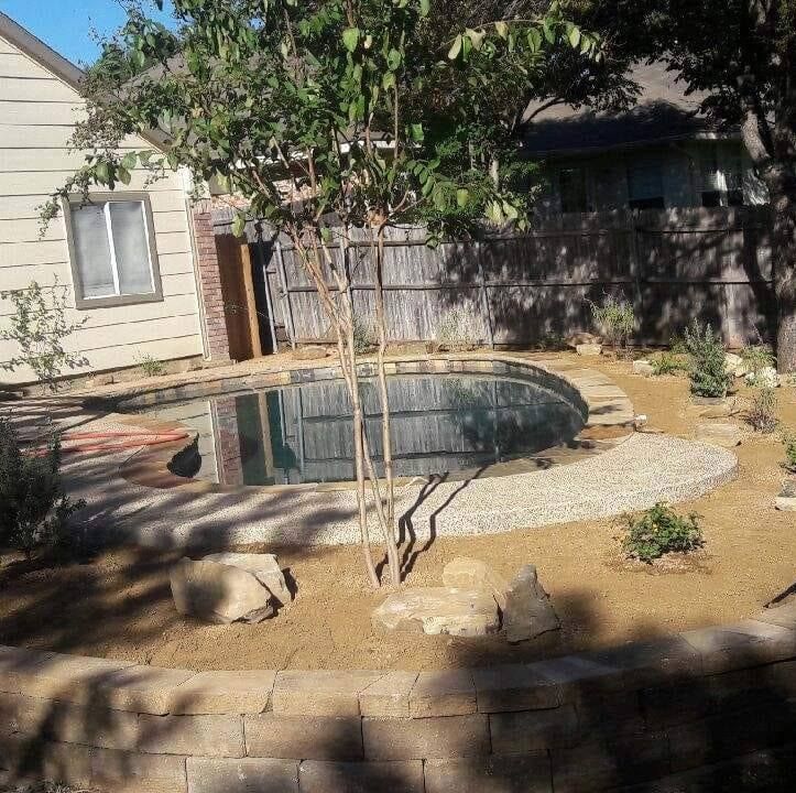 Tree Services 