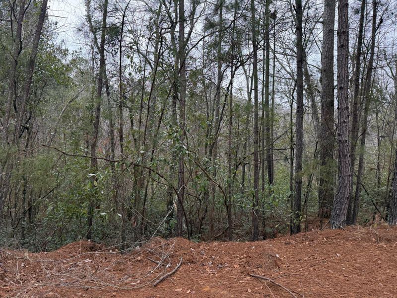 Land Clearing & Demolition