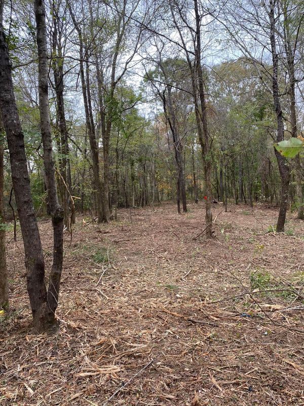 Land Clearing