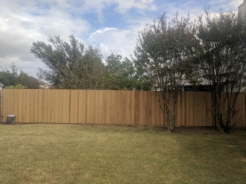 Fences