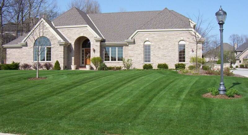 Weed control