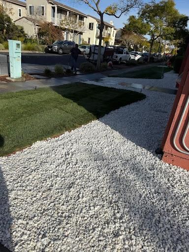 Landscaping