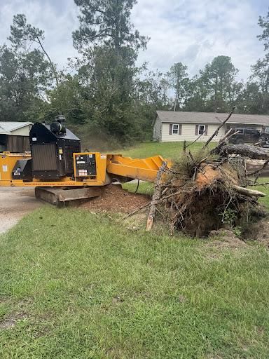 Stump Excavation