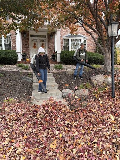 Seasonal Clean-Up