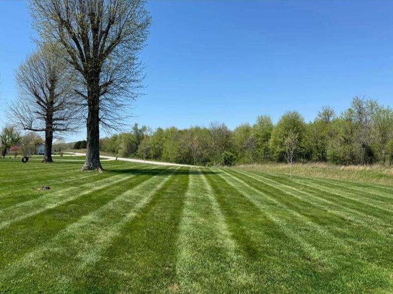 Lawn Maintenance