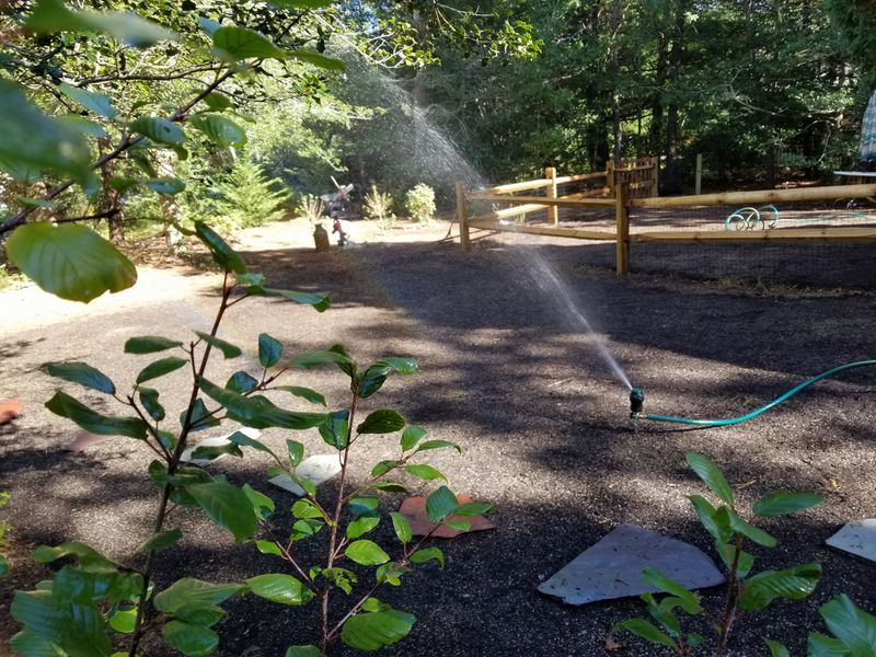 Lawn Maintenance