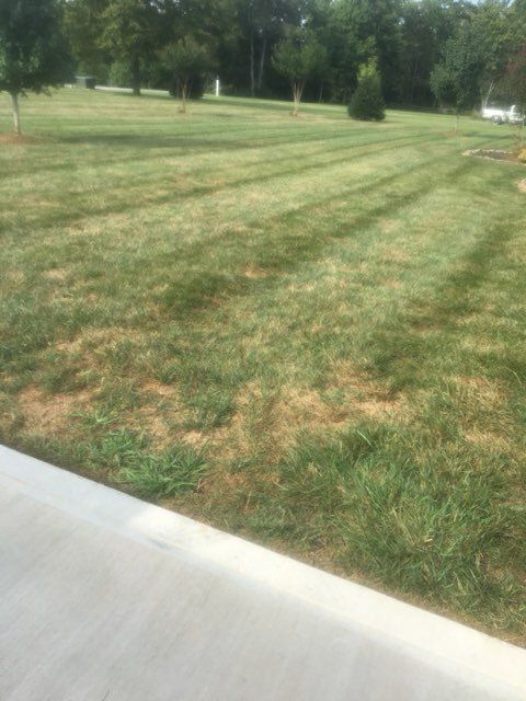 Lawn Care