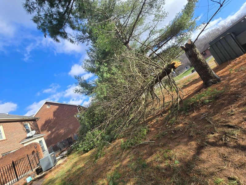 24/7 storm cleanup