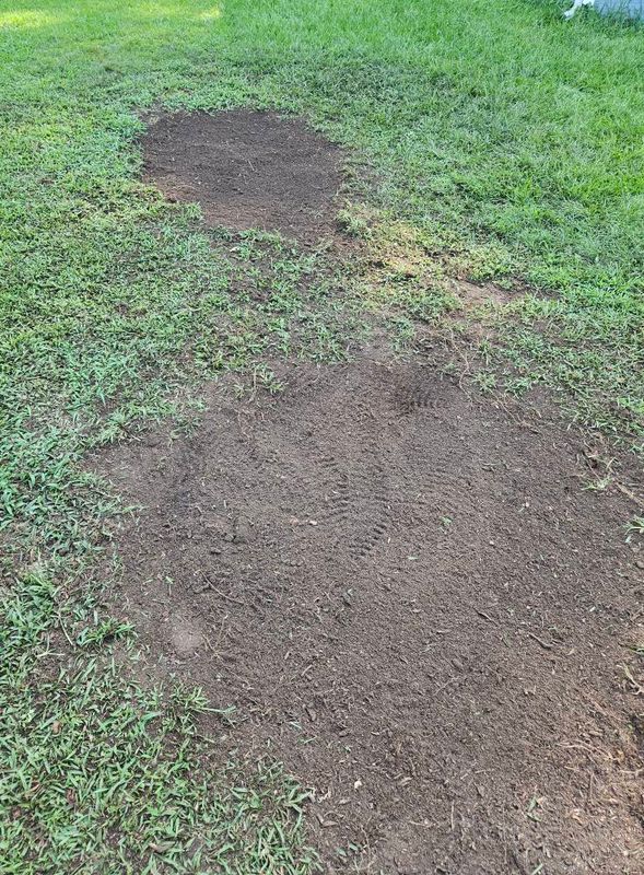 Stump Grinding