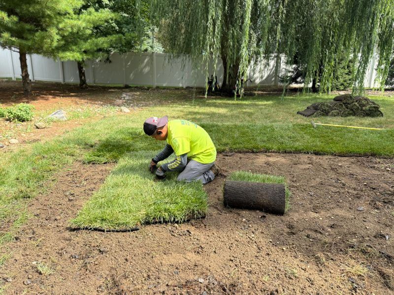 Mulch Installation