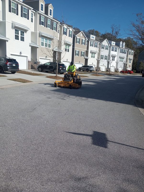 Tree & Shrub Care