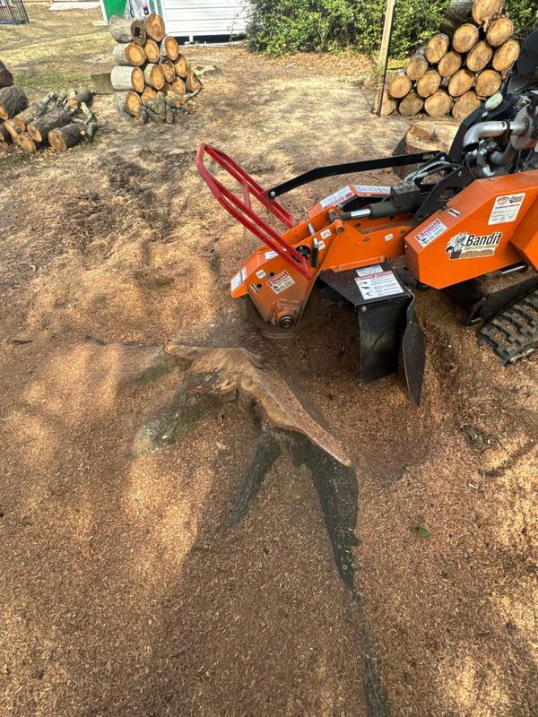Stump Grinding gallery