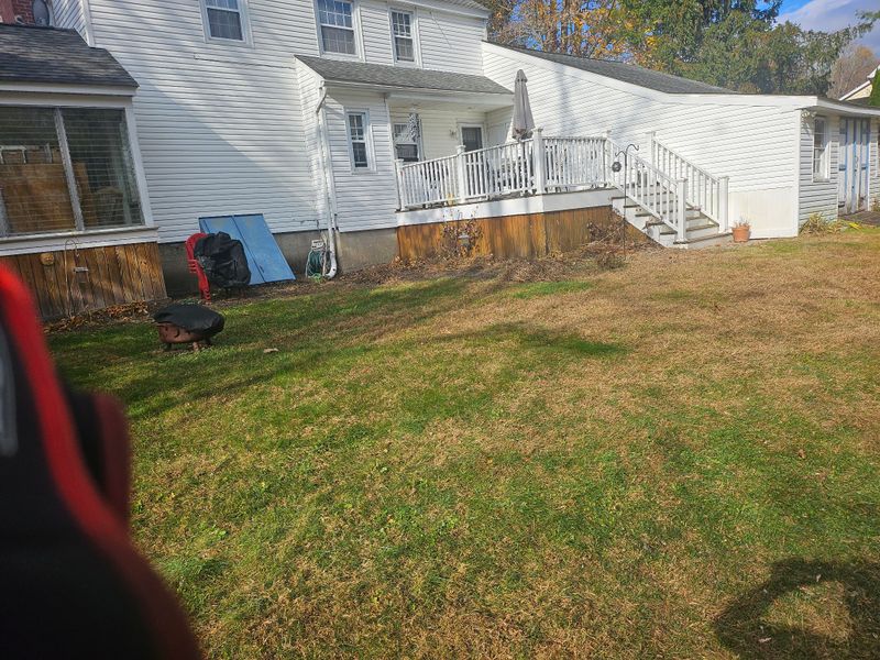 Spring & Fall Cleanups