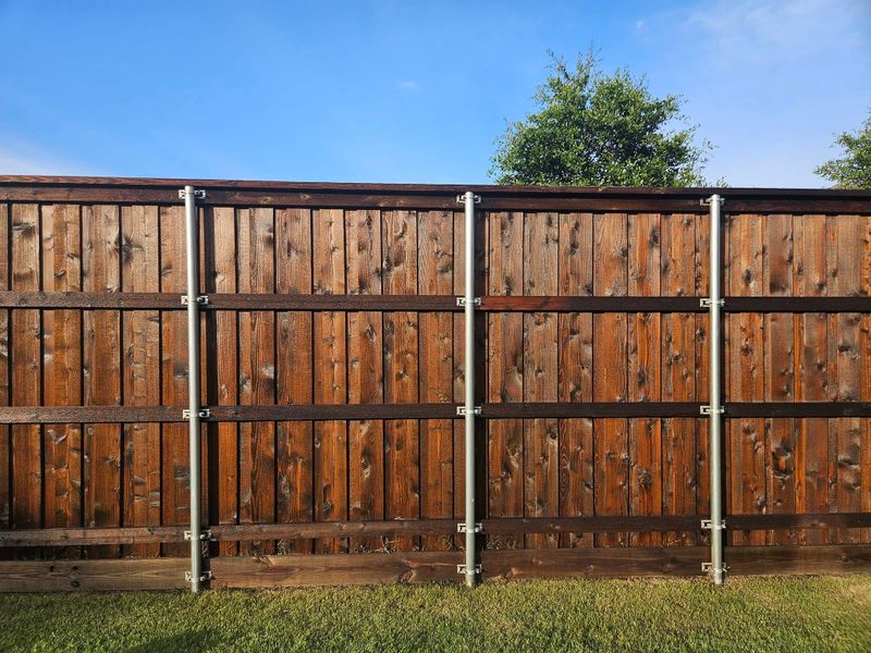 Fence Staining & Sealing