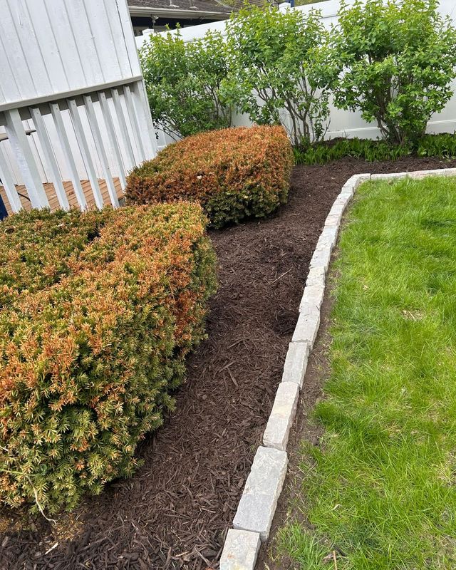 Sod Replacement & Laying