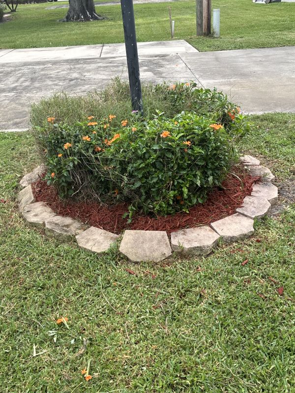 Garden Designs