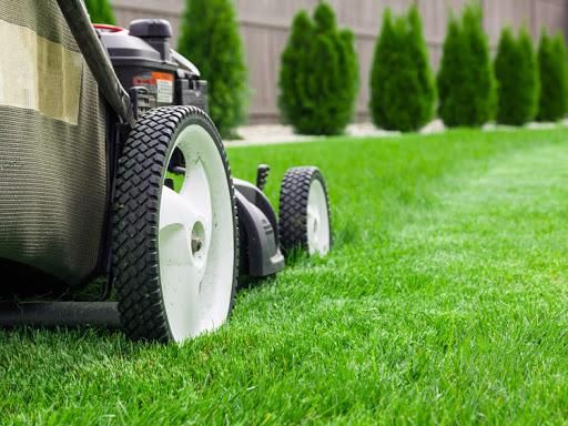 Lawn Maintenance