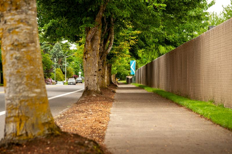Sidewalk Installation