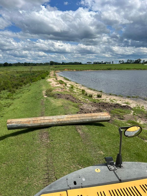 Land Clearing And Clean Up