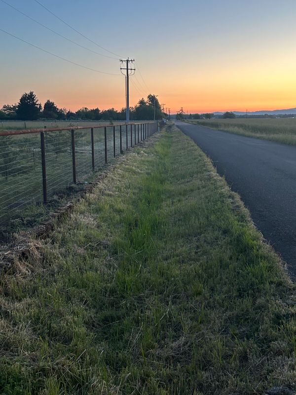 Fence Installation
