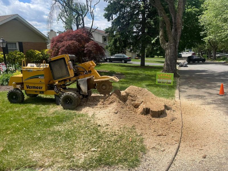 Stump Grinding