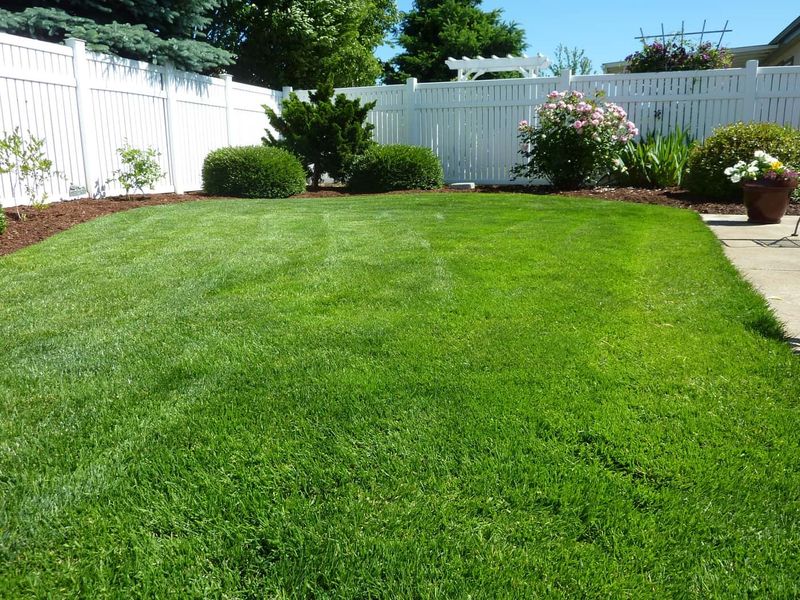 Residential Hydroseeding