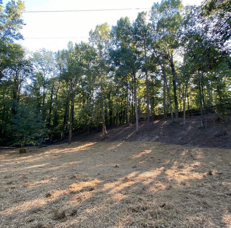 Land Clearing