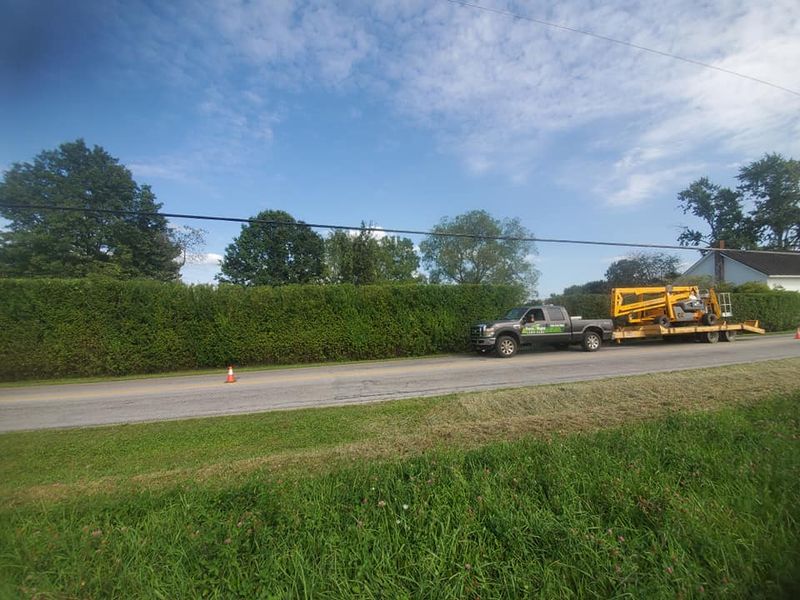 Tree & Shrub Care