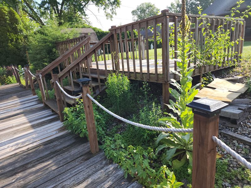 Patio Design & Construction