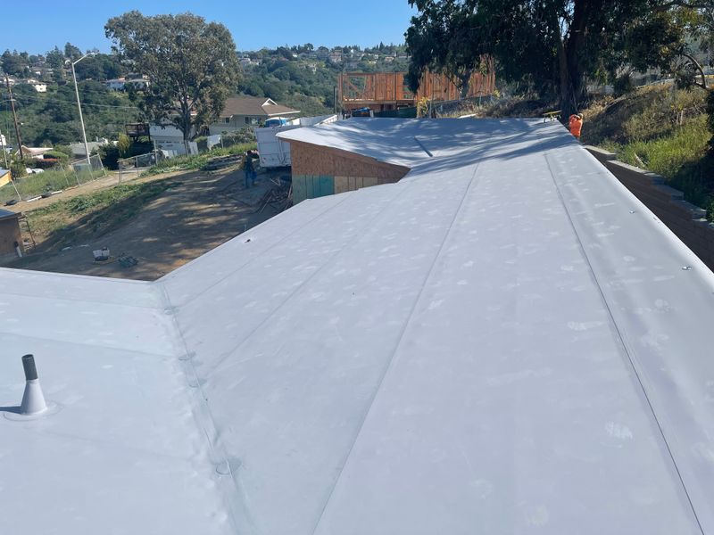 Roofing Repairs