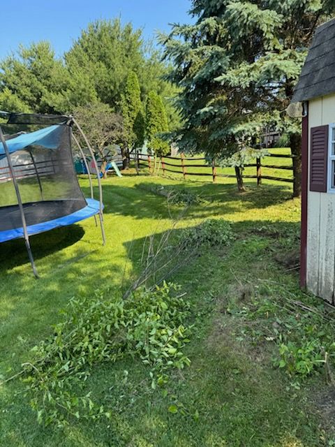 Revitalizing Denver Lawns: Expert Mowing, Bush Removal, and Lawn Reseeding by Landscape & Lawn Care Pros