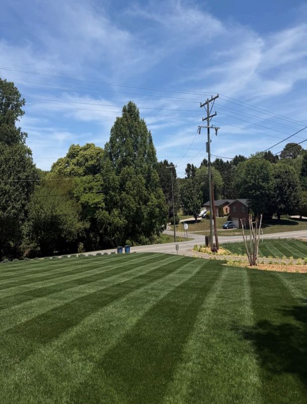 Lawn Maintenance