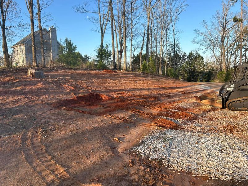Land Clearing Photos