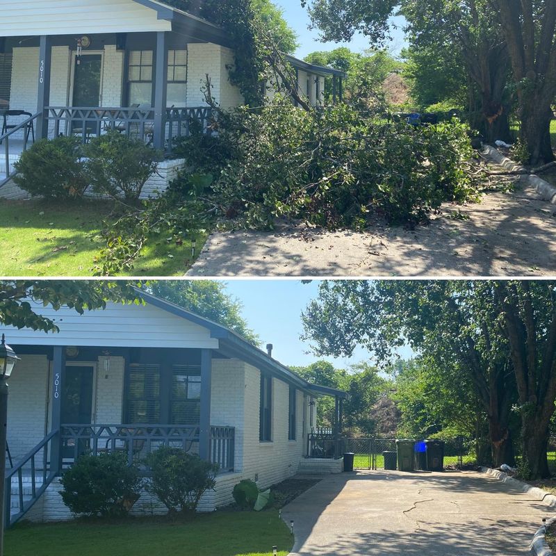 Tree Removal gallery