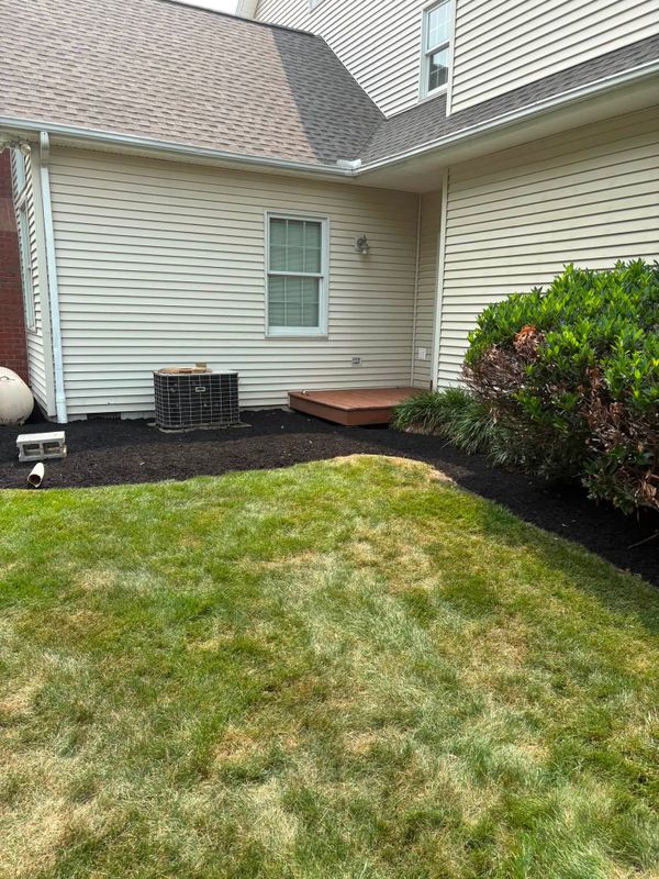 Landscape Design