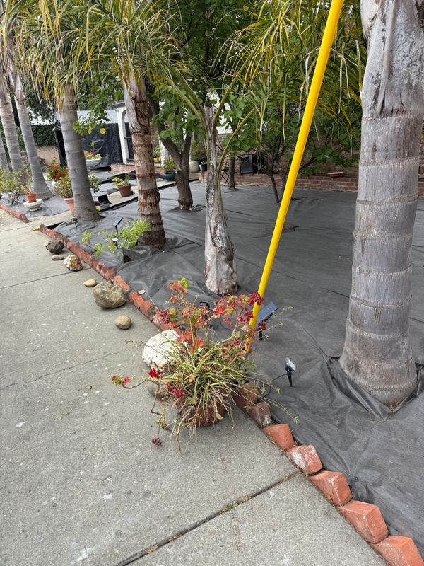 Landscaping